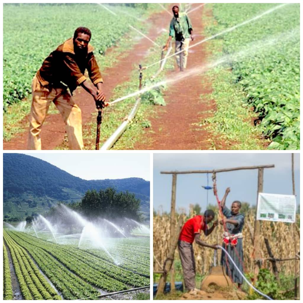 IRRIGATION CHALLENGES ON THE GHANAIAN FARMER.